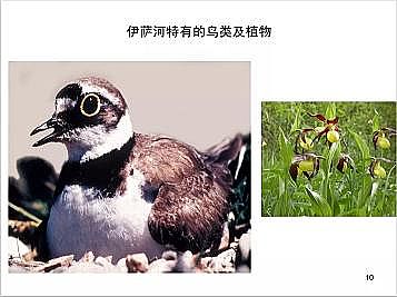 上好石英砂濾料廠家德國(guó)河道的近自然修復(fù)實(shí)踐