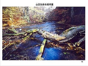 上好石英砂濾料廠家德國(guó)河道的近自然修復(fù)實(shí)踐