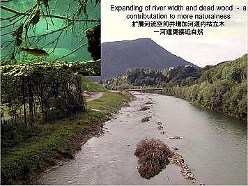 上好石英砂濾料廠家德國(guó)河道的近自然修復(fù)實(shí)踐