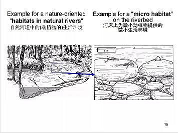 上好石英砂濾料廠家德國(guó)河道的近自然修復(fù)實(shí)踐