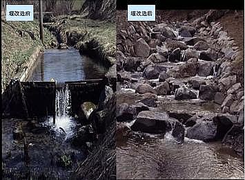 上好石英砂濾料廠家德國(guó)河道的近自然修復(fù)實(shí)踐