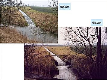 上好石英砂濾料廠家德國(guó)河道的近自然修復(fù)實(shí)踐