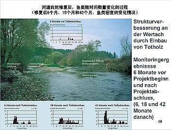 上好石英砂濾料廠家德國(guó)河道的近自然修復(fù)實(shí)踐