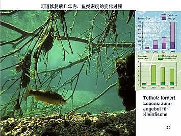 上好石英砂濾料廠家德國(guó)河道的近自然修復(fù)實(shí)踐