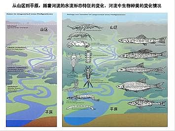 上好石英砂濾料廠家德國(guó)河道的近自然修復(fù)實(shí)踐