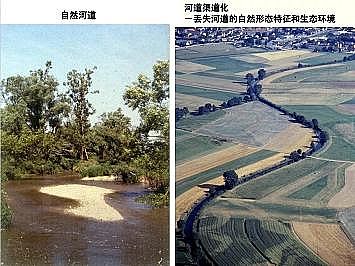 上好石英砂濾料廠家德國(guó)河道的近自然修復(fù)實(shí)踐