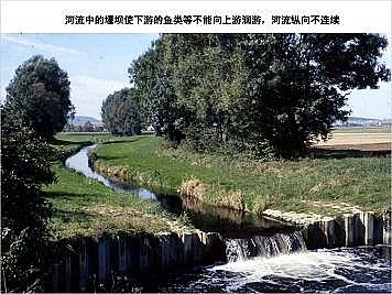 上好石英砂濾料廠家德國(guó)河道的近自然修復(fù)實(shí)踐