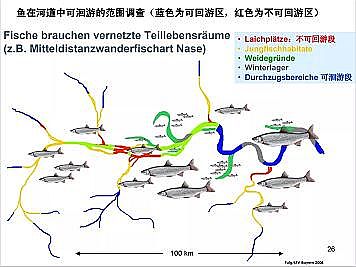 上好石英砂濾料廠家德國(guó)河道的近自然修復(fù)實(shí)踐