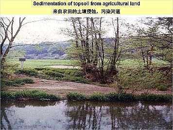 上好石英砂濾料廠家德國(guó)河道的近自然修復(fù)實(shí)踐