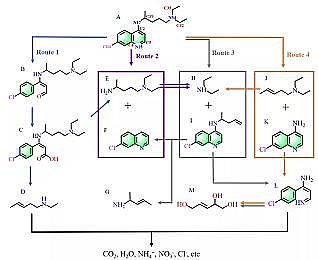 ϵȞVϺdFa(chn)SFe-MOF΢ƬDЧȥdЙC(j)Ⱦ