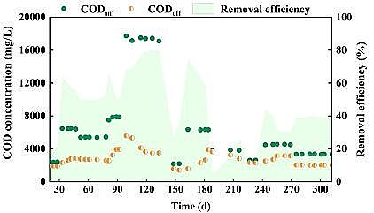 |̼ԴSٟSBrҺÓЧܼ΢Cо