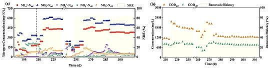 |̼ԴSٟSBrҺÓЧܼ΢Cо