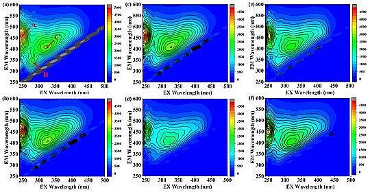 |̼ԴSٟSBrҺÓЧܼ΢Cо