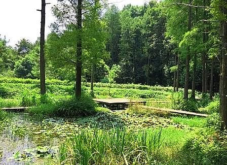 ๦F̼΢늽ϏS˹ˮB̎ˇMչ