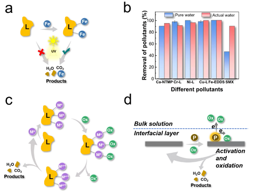上好結晶氯化鋁生產廠家探討選擇性氧化水處理技術的原理、策略及挑戰