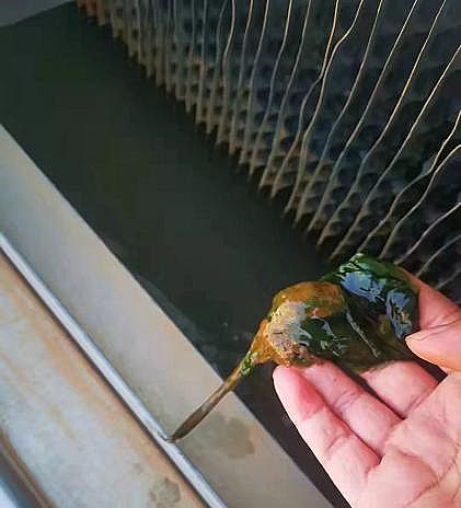 高品質消毒劑氯片廠家數據中心循環水系統低負荷運行及停機操作要點