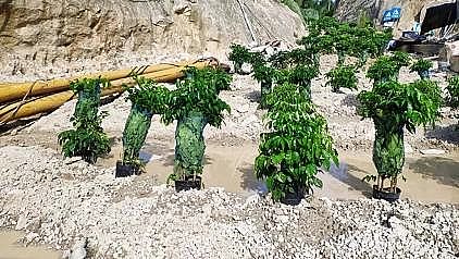 多功能非氧化型殺菌劑生產廠家中央環(huán)保督察來了,污水處理廠污泥生化系統(tǒng)差點癱瘓!