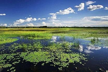 特種生物火山巖濾料生產廠家我國濕地保護管理頂層設計“四梁八柱”確立