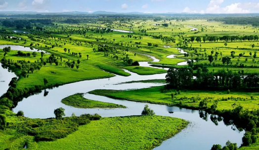 特種生物火山巖濾料生產廠家我國濕地保護管理頂層設計“四梁八柱”確立