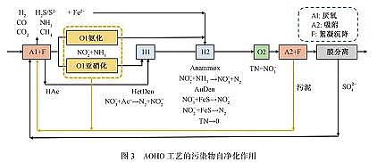 精良立體彈性填料生產廠家難降解工業廢水的高效處理技術與理論研究