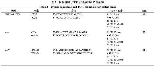精良立體彈性填料生產廠家難降解工業廢水的高效處理技術與理論研究