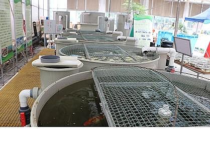 上等冷卻塔填料廠家工廠化循環水養殖裝備技術