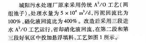 精制乙酸鈉碳源生產(chǎn)廠家靠“零碳源投加技術”每年省下1000萬!真相是什么?