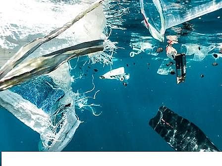 高能立體網狀填料廠家聯合國世界水資源發展報告:廢水是新的黑金嗎?