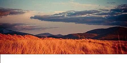 精美不銹鋼纖維束掛鉤生產廠家從業績預告看2021環保行業表現:提前交卷啟示錄