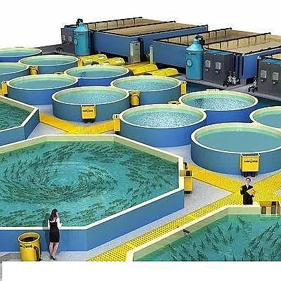 精美麥飯石濾料廠家工廠化循環(huán)水養(yǎng)殖技術(shù)介紹