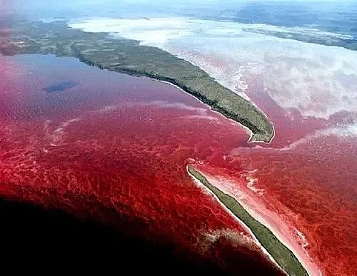 全新鵝卵石濾料廠家養殖尾水治理將有大動作!各地排放標準實行“地域定制”