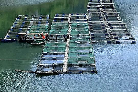 全新鵝卵石濾料廠家養殖尾水治理將有大動作!各地排放標準實行“地域定制”