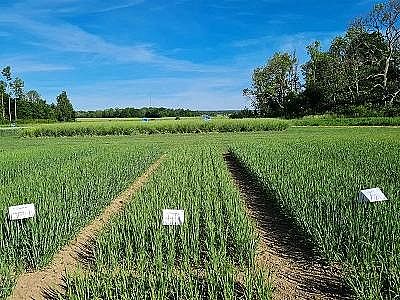 2022c̼ԴaSһՏˮзxҺȻ@ô;!