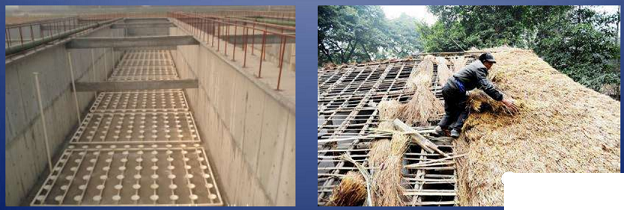 2022年曝氣器廠家一文了解曝氣器的類型和性能對比