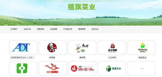 2022年組合填料廠家看到用腳踩出來的老壇酸菜,干環保和不干環保的都沉默了