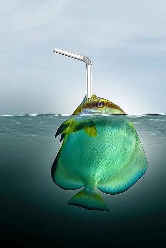 2022年液面覆蓋球廠家這個“垃圾大國”,真是讓我開眼了!