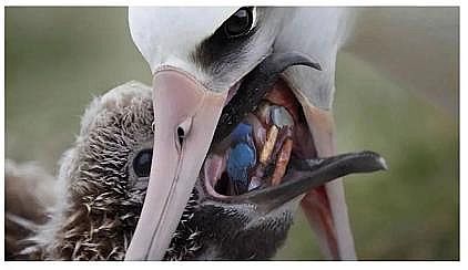 2022年液面覆蓋球廠家這個“垃圾大國”,真是讓我開眼了!