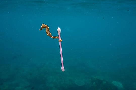 2022年液面覆蓋球廠家這個“垃圾大國”,真是讓我開眼了!