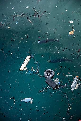 2022年液面覆蓋球廠家這個“垃圾大國”,真是讓我開眼了!