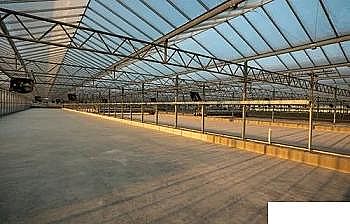 2022年顆粒活性炭廠家全球最大污水廠投入運行,處理規(guī)模560萬m³/d,面積相當(dāng)于90個足球場