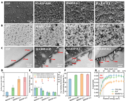 2022年13X分子篩廠家具有超高選擇性 || 利用MOF制備超薄PA納米膜