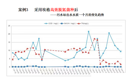 2022年活性氧化鋁球?yàn)V料廠家耐鹽菌種生化技術(shù)垃圾滲濾液/RO濃水/MVR母液提供一種新的低碳解決方案