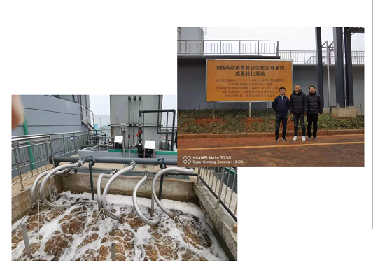 2022年活性氧化鋁球?yàn)V料廠家耐鹽菌種生化技術(shù)垃圾滲濾液/RO濃水/MVR母液提供一種新的低碳解決方案