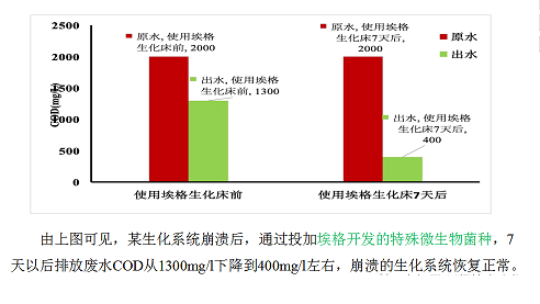 2022年活性氧化鋁球?yàn)V料廠家耐鹽菌種生化技術(shù)垃圾滲濾液/RO濃水/MVR母液提供一種新的低碳解決方案