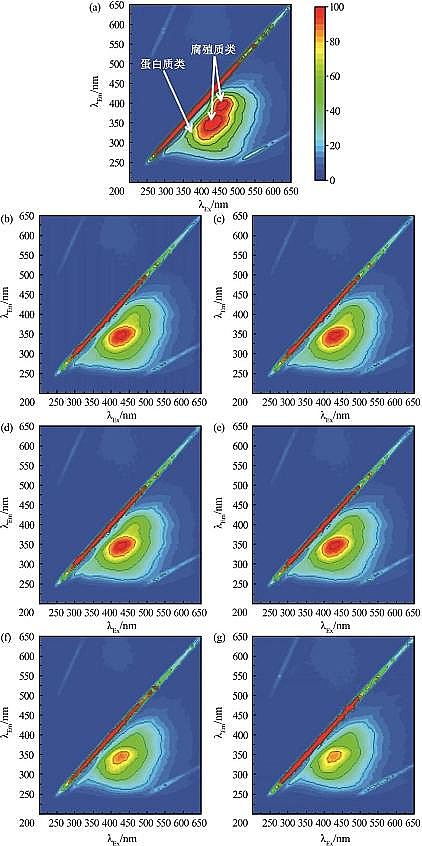 2022年生物流化床填料MBBR價(jià)格電化學(xué)紫外耦合膜過濾深度處理化工廢水中水研究