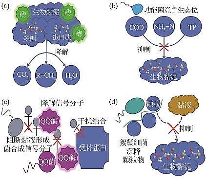 2022年阻垢劑循環冷卻水微生物調節水質機理研究進展