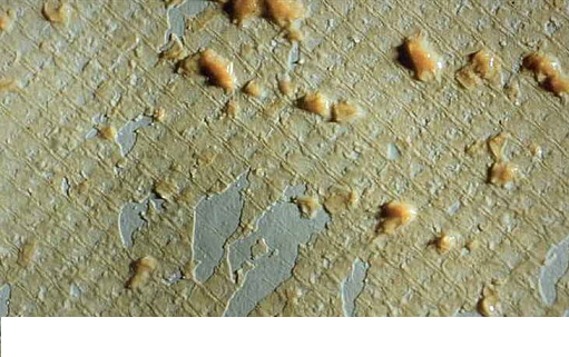 20224AӺYr(ji)@ƪСĸV㣬ɶķB͸Ó}a(chn)ˮ