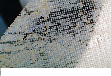 20224AӺYr(ji)@ƪСĸVɶķB͸Ó}a(chn)ˮ