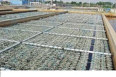 ��Ʒ�|(zh��)�������͚������S����ˮ�S���(bi��o)���RÓ�׳������}����ô����?�@���N����������!