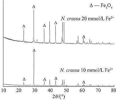 ��Ʒ�|(zh��)��ĩ�۠����̿���a(ch��n)�S������V�����Ƃ�{�������F���䌦���׻��{(l��n)������